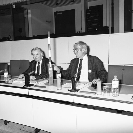 Meeting at the European Parliament in Brussels