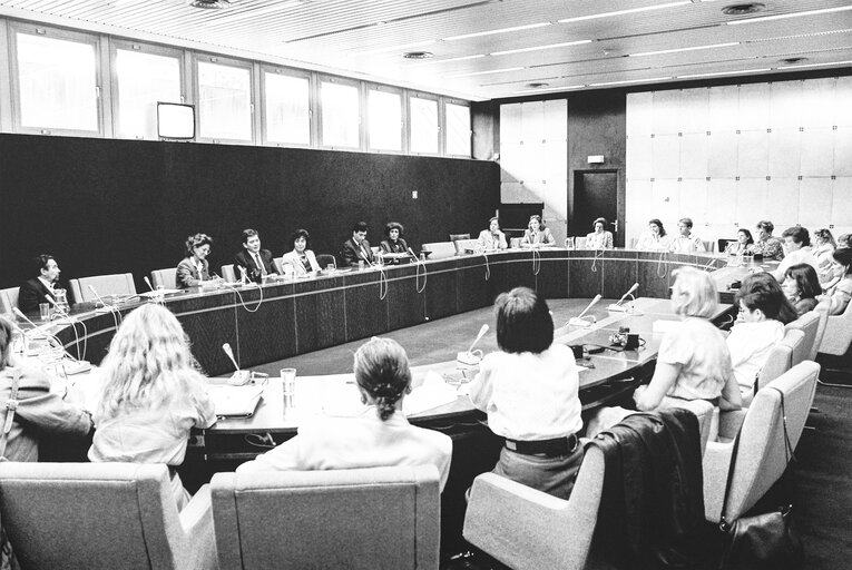 Meeting at the European Parliament in Strasbourg