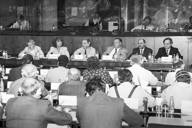 Meeting at the European Parliament in Brussels