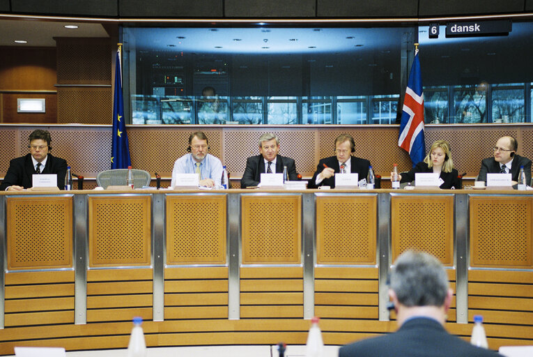 EU-Iceland meeting