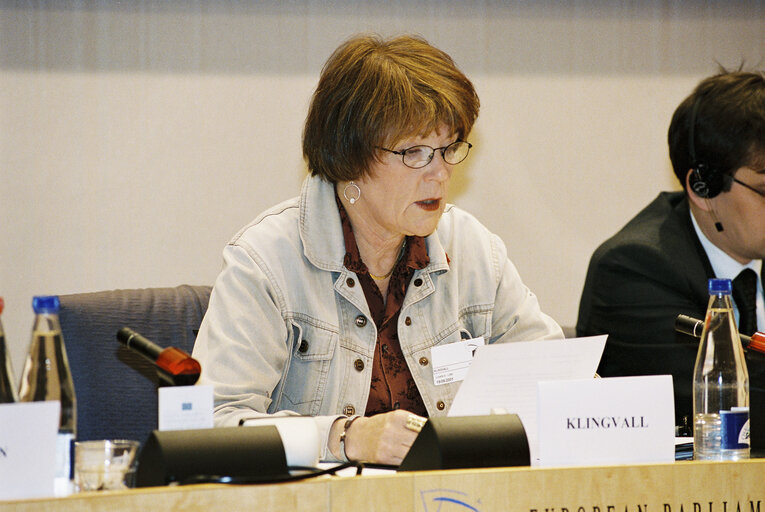 Meeting in the European Parliament in Brussels