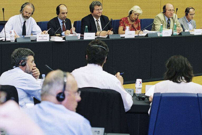 Carlos COELHO, Gerhard SCHMID, Elly PLOOIJ-VAN GORSEL, Professor Sir Neil MacCORMICK during a conference in Strasbourg in July 2001.