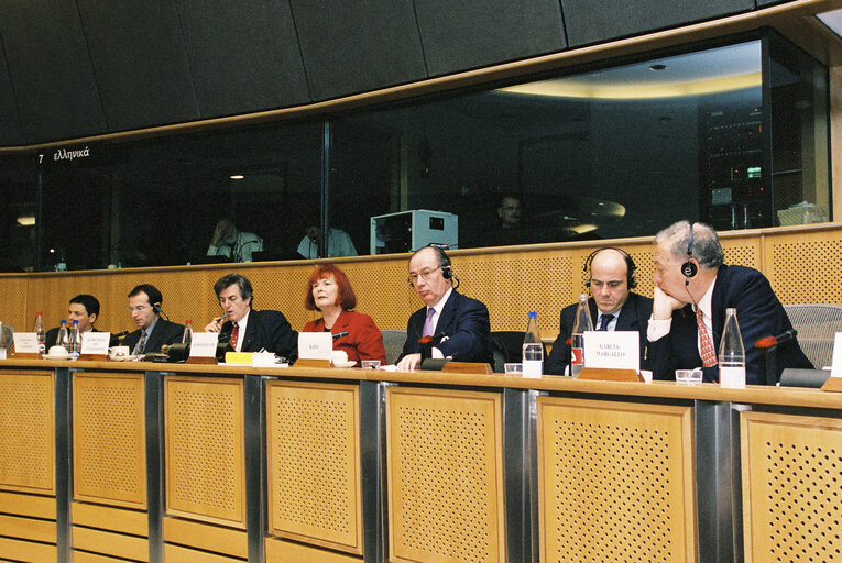 ECON Committee - Discussion with the Spanish Minister for Finance