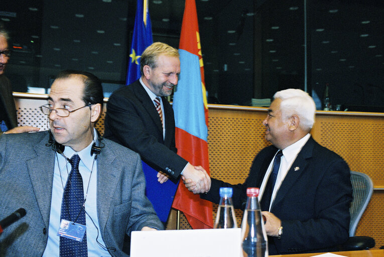 EP-Mongolia interparliamentary meeting