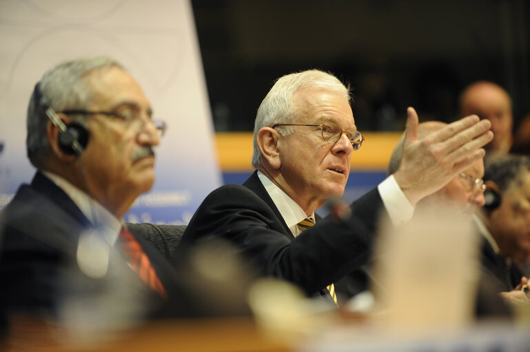 Plenary session of Euro-Med Assembly on the situation in the Middle East and the impact of the world financial crisis on the Mediterranean region.