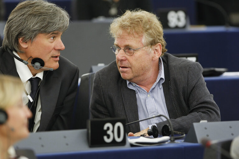 Stephane LE FOLL and Daniel COHN BENDIT in plenary session in Strasbourg.