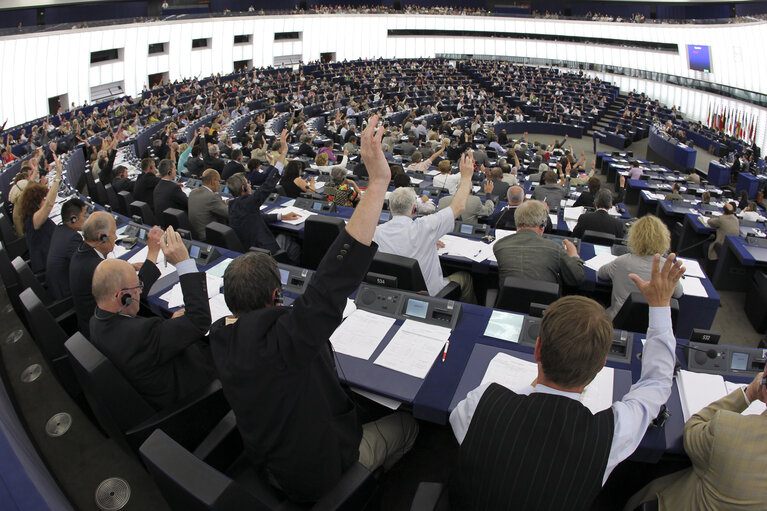 Plenary session in Strasbourg