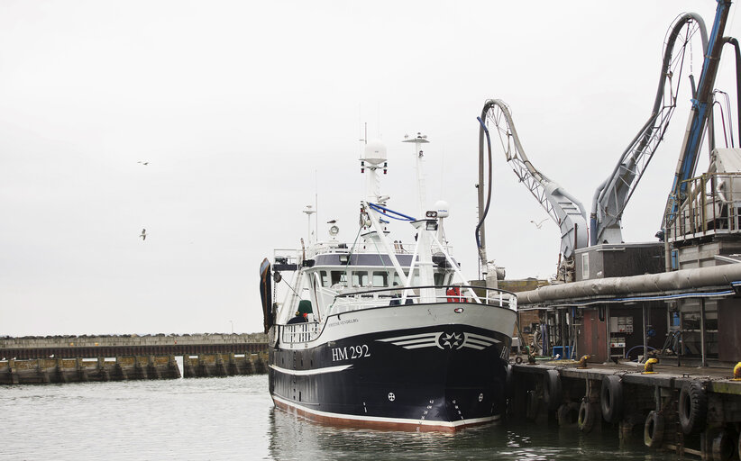 Docking boat