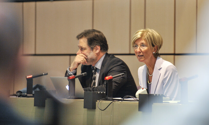 Visioconference regarding the EE 2014 coverage