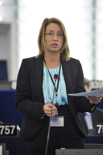 Plenary Session Week 47 2013 in Strasbourg - Explanation of votes