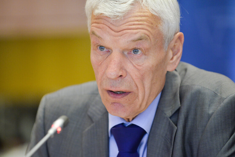 AFET : Public hearing on the political and economic situation in Belarus