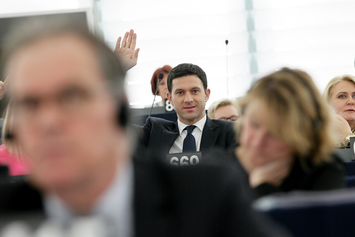 Petru Constantin LUHAN in plenary during the vote