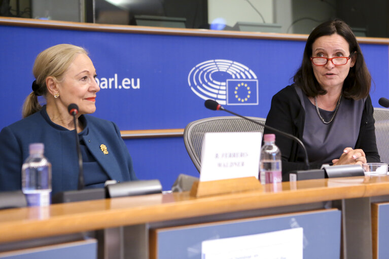 Delegation to the Euro-Latin American Parliamentary Assembly (DLAT) high-level seminar - ‘ The future is today : the European Union and the Americas facing a unique opportunity ’