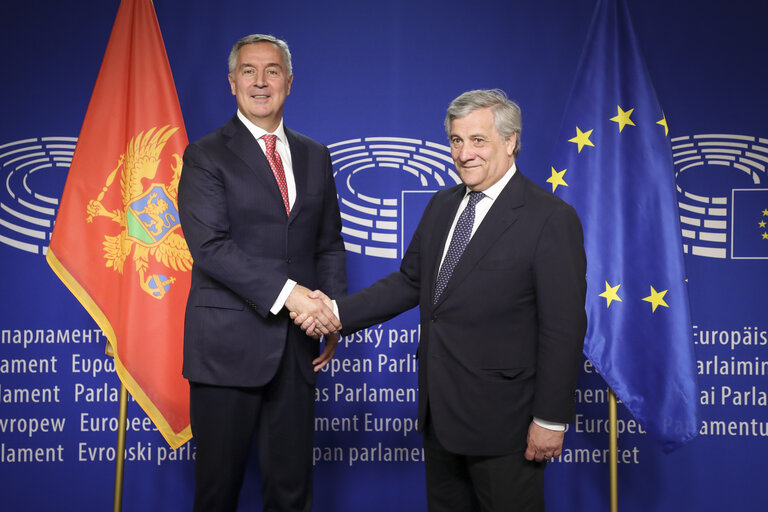 Visit of the President of Montenegro.