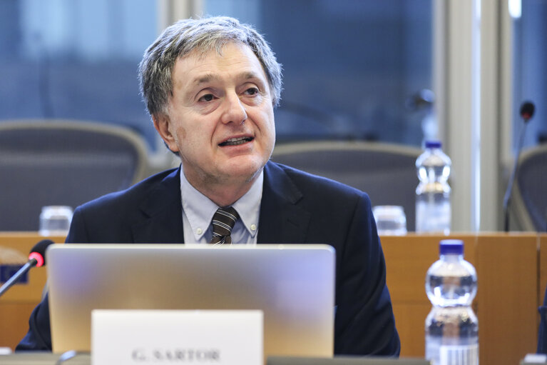 IMCO working group on the Digital single Market