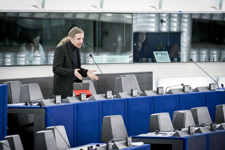 Plenary session- Votes followed by explanations of votes