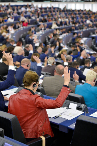 Stockshot of the hemicycle of the European Parliament in Strasbourg - Vote by a show of hand