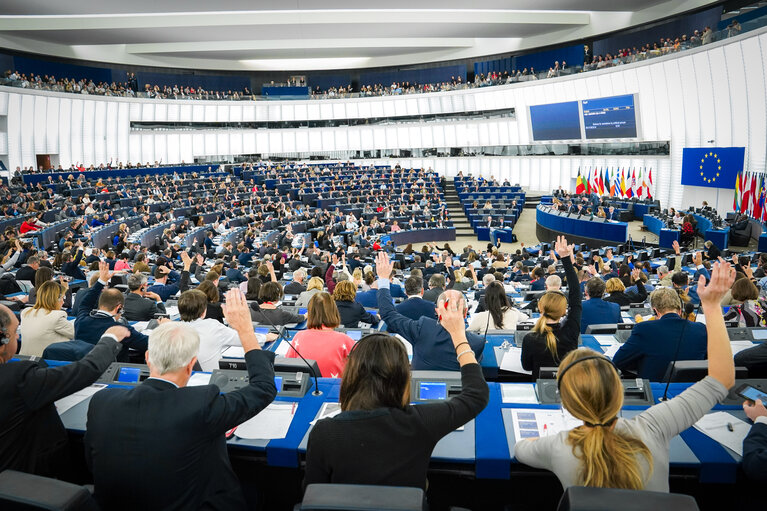 Plenary session - Votes