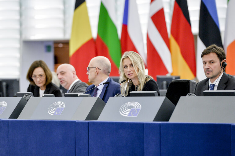 EP Plenary session - Compatibility between EU - Mercosur Free Trade Agreement and the European Deal