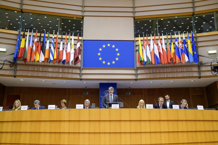 Opening of the European Parliamentary week on EU economic governance from Parliamentary perspective