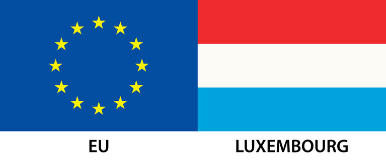 EU Member Flag