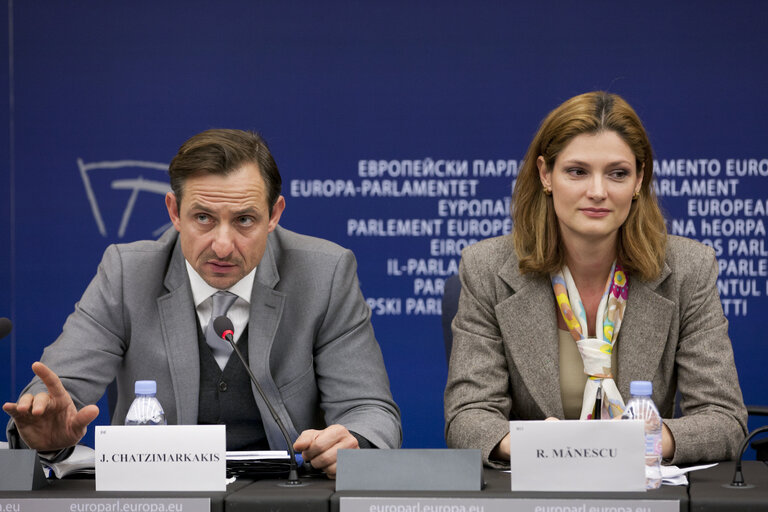 Fotografie 8: Press conference of MEPs Ramona Manescu and Jorgos Chatzimarkakis about problems and solutions in spending European Union cohesion policy