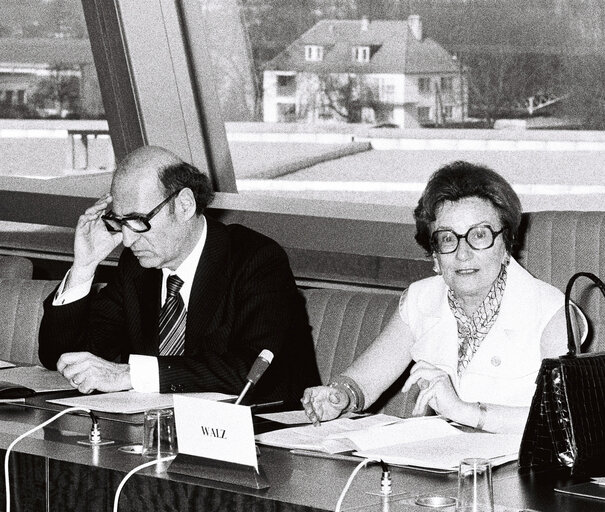 Suriet 15: Meeting at the EP in March 1977 in Strasbourg