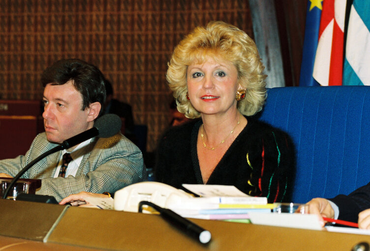 Photo 17: Plenary Session in Strasbourg in December 1992