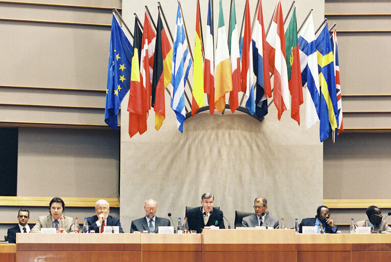 Suriet 4: ACP-EU Joint Parliamentary Assembly