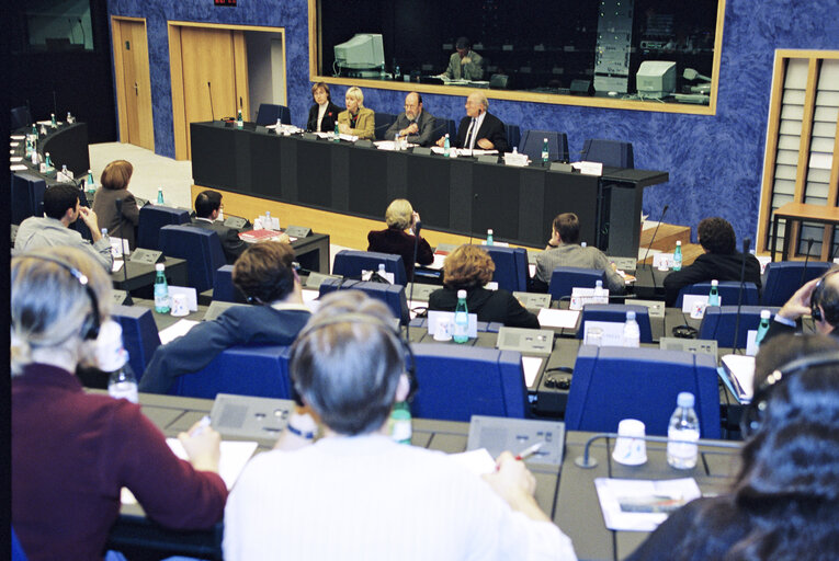 Fotagrafa 7: Meeting in Strasbourg