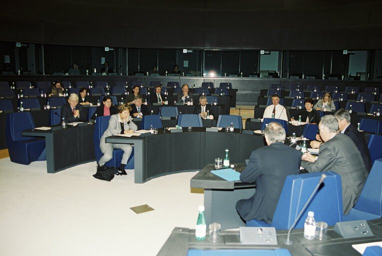 Foto 4: Paneuropean intergroup meeting in Strasbourg