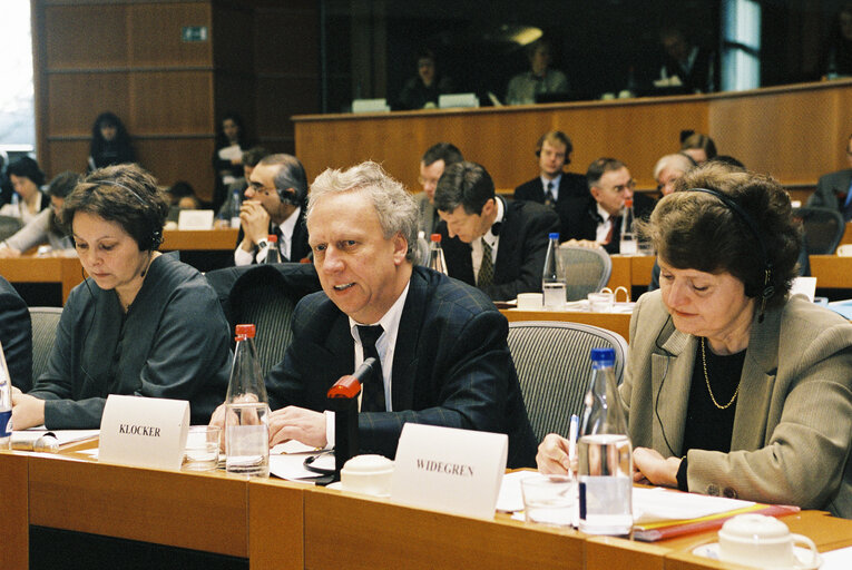 Foto 5: ECON Committee - Public hearing - Competition Policy