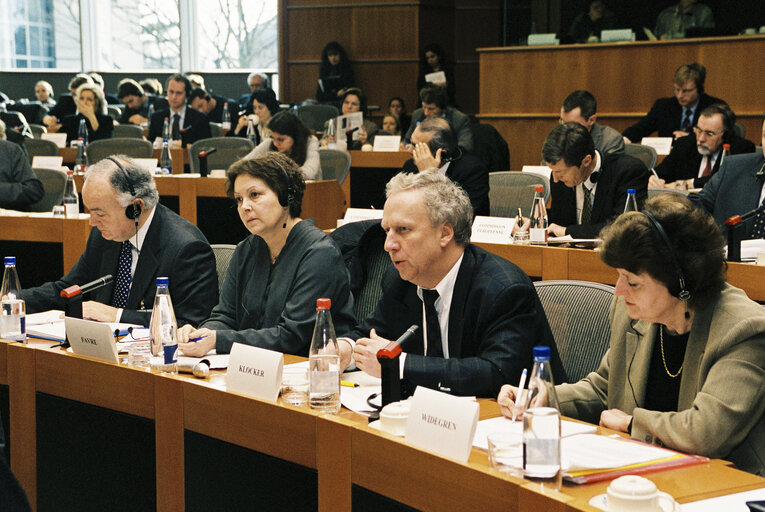 Fotografija 1: ECON Committee - Public hearing - Competition Policy