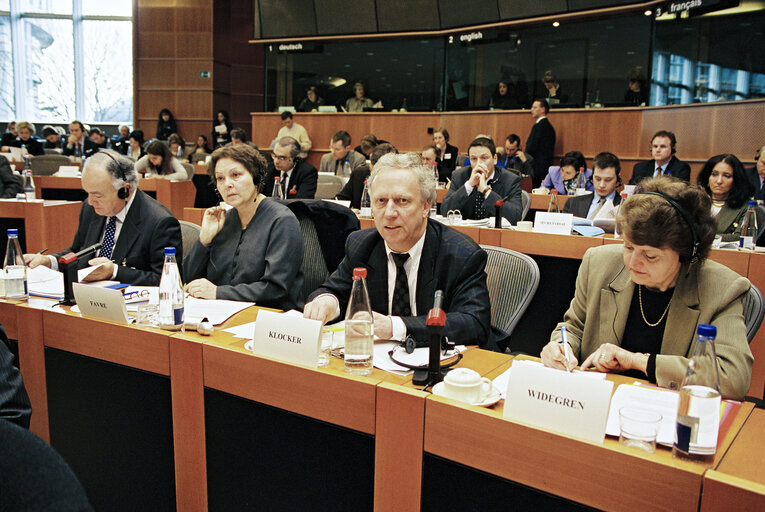 Fotogrāfija 4: ECON Committee - Public hearing - Competition Policy