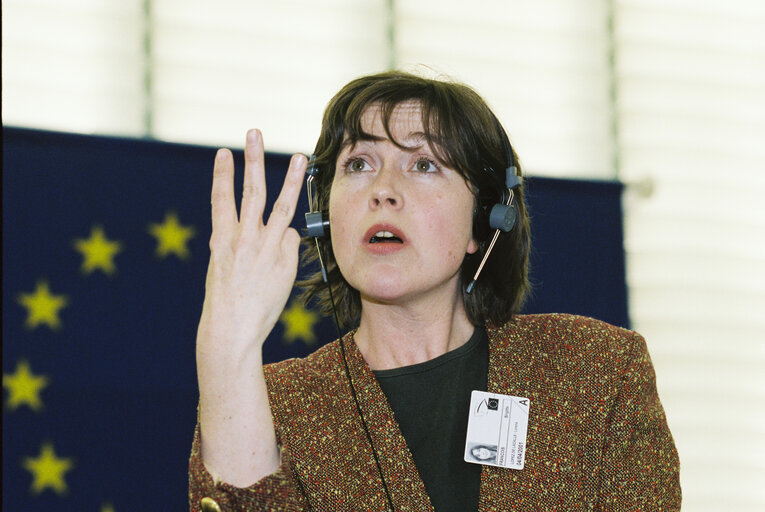 Fotografie 6: Signed language interpreter at work in the hemicycle in Strasbourg