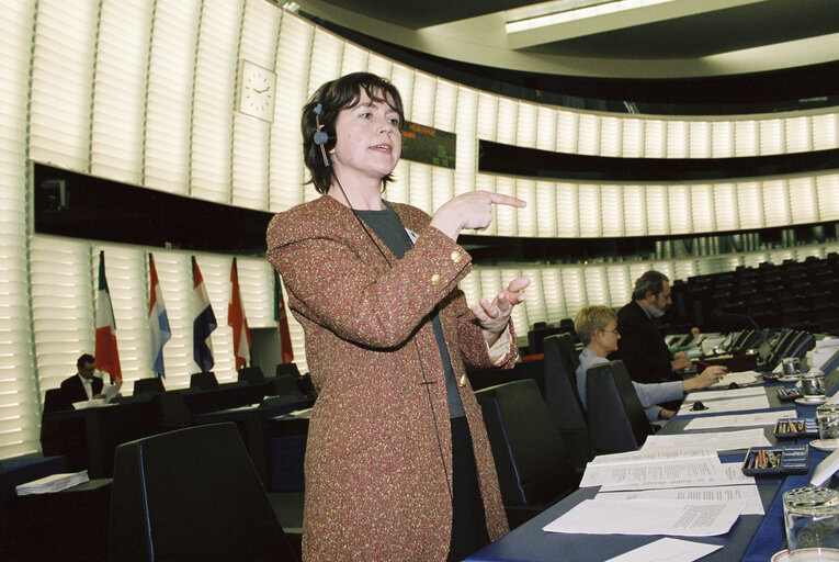 Fotografia 2: Signed language interpreter at work in the hemicycle in Strasbourg