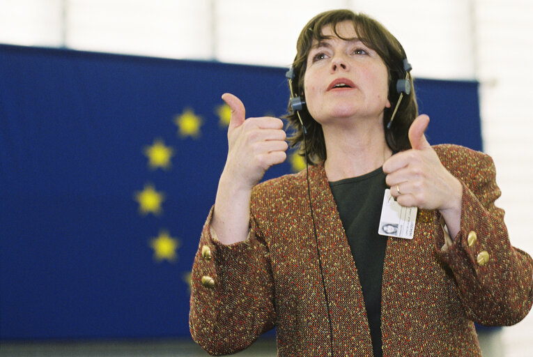 Signed language interpreter at work in the hemicycle in Strasbourg