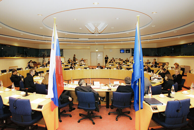 Photo 22 : EU-Slovenia Joint Parliamentary Committee