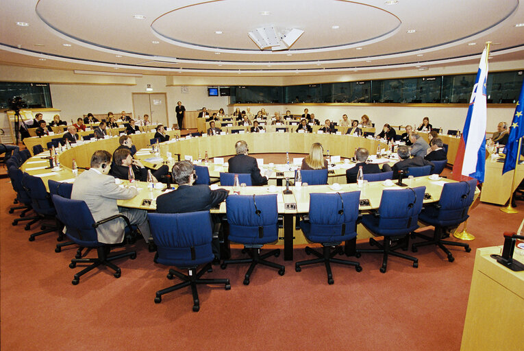 Photo 15 : EU-Slovenia Joint Parliamentary Committee