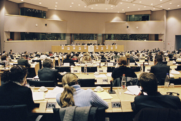 Снимка 2: Committee on Legal Affairs and the Internal Market - Public hearing : International exhaustion of Trade Mark Rights