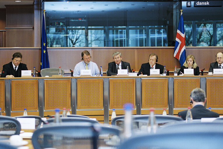 EU-Iceland meeting