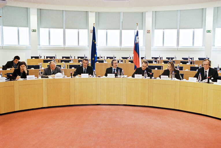 Foto 3: EU-Slovenia Joint Parliamentary Committee