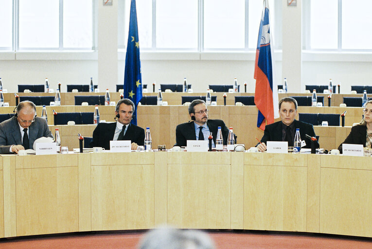 Foto 4: EU-Slovenia Joint Parliamentary Committee