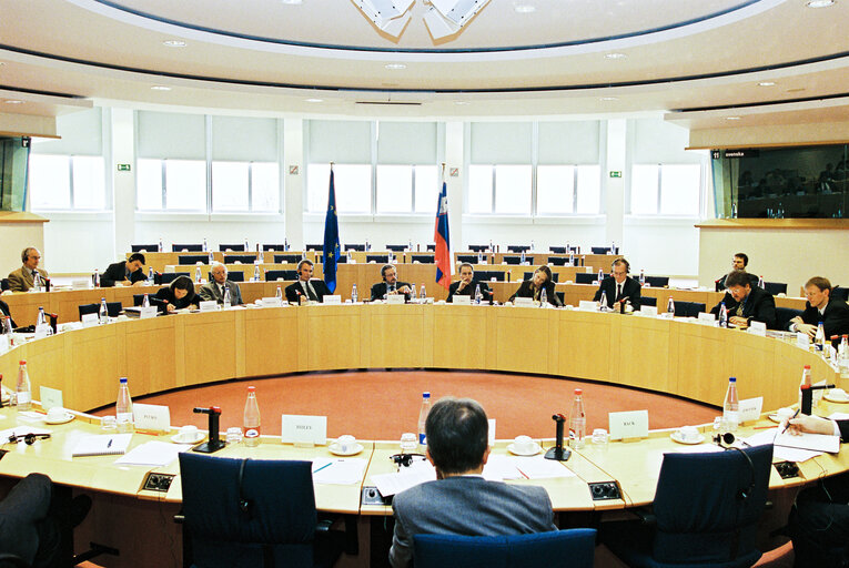 Foto 12: EU-Slovenia Joint Parliamentary Committee