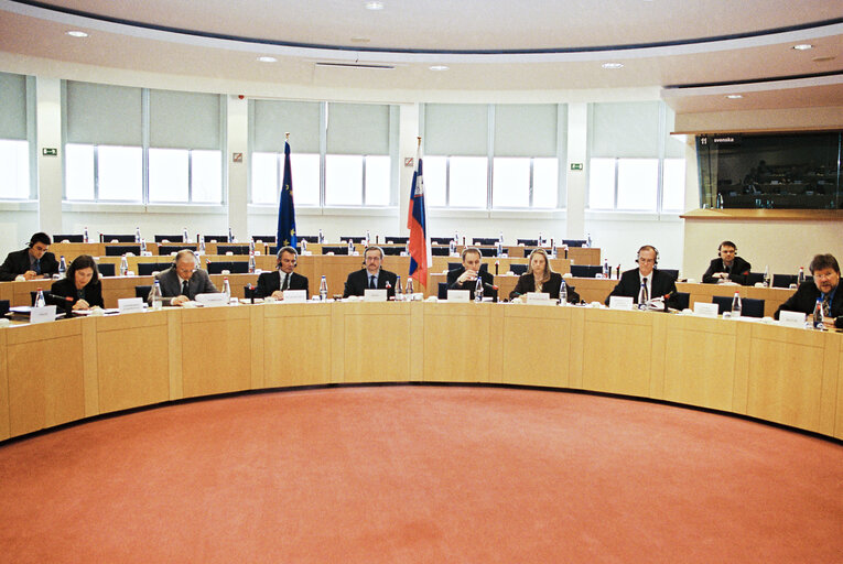 Foto 17: EU-Slovenia Joint Parliamentary Committee