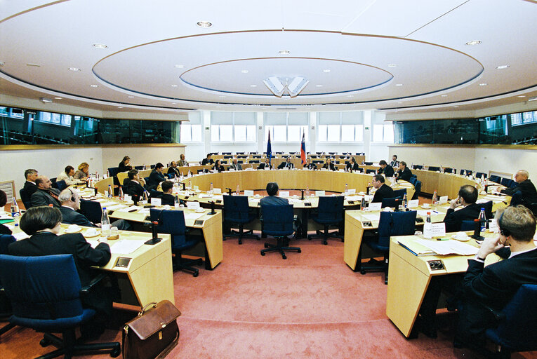 Foto 24: EU-Slovenia Joint Parliamentary Committee