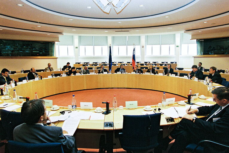 Foto 23: EU-Slovenia Joint Parliamentary Committee