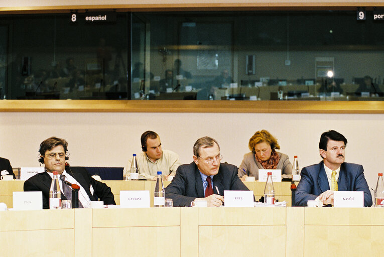 Photo 8 : EU-Slovenia Joint Parliamentary Committee