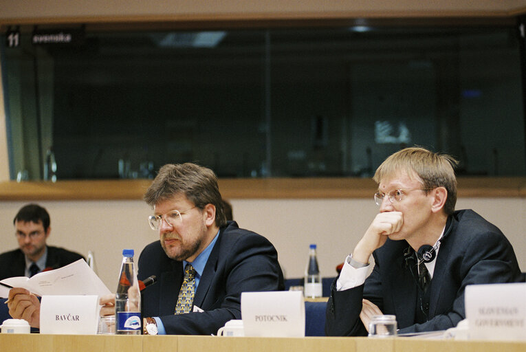 Photo 18 : EU-Slovenia Joint Parliamentary Committee