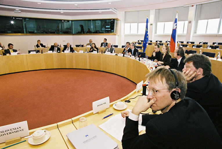 Photo 21 : EU-Slovenia Joint Parliamentary Committee